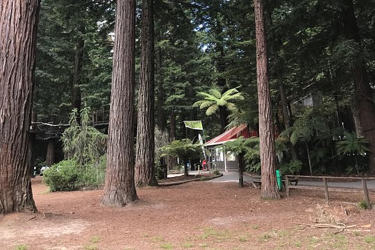 Tour image 7