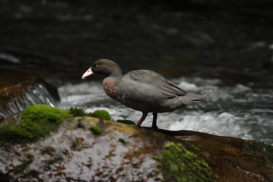 Tour image 5