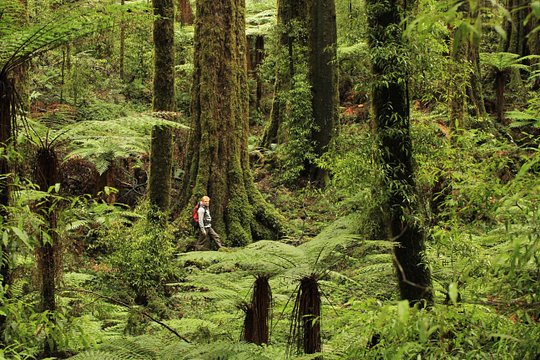 Tour image 1