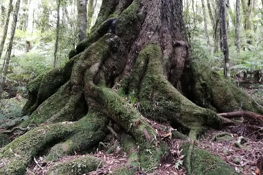 Tour image 5