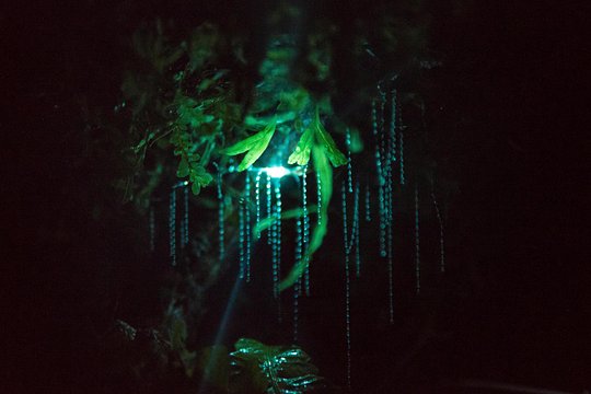 Tour image 4