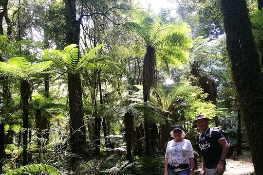 Tour image 9