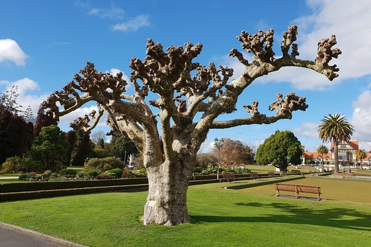 Tour image 2