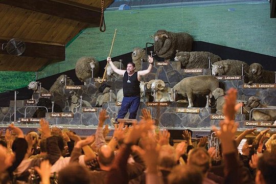 Imagen del tour 3