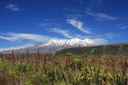 Tour image 6