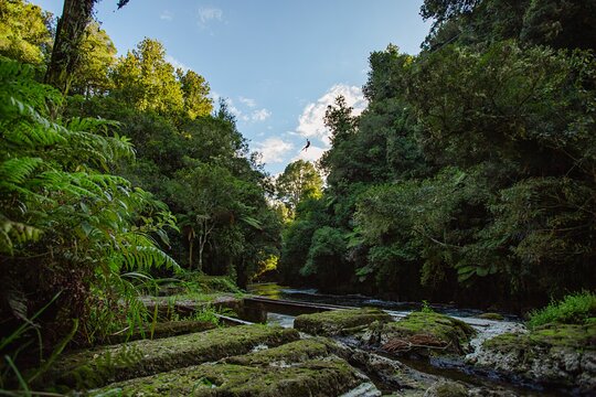 Tour image 9