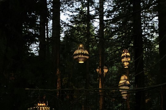 Tour image 6